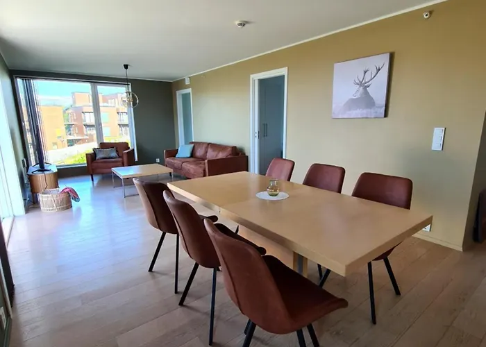 Moderne Toppleilighet, * 特罗姆瑟